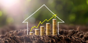 Investment Decisions in Real Estate